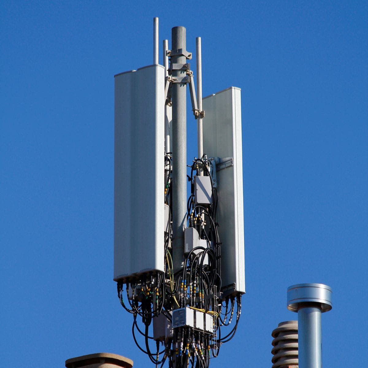 Signal antenna
