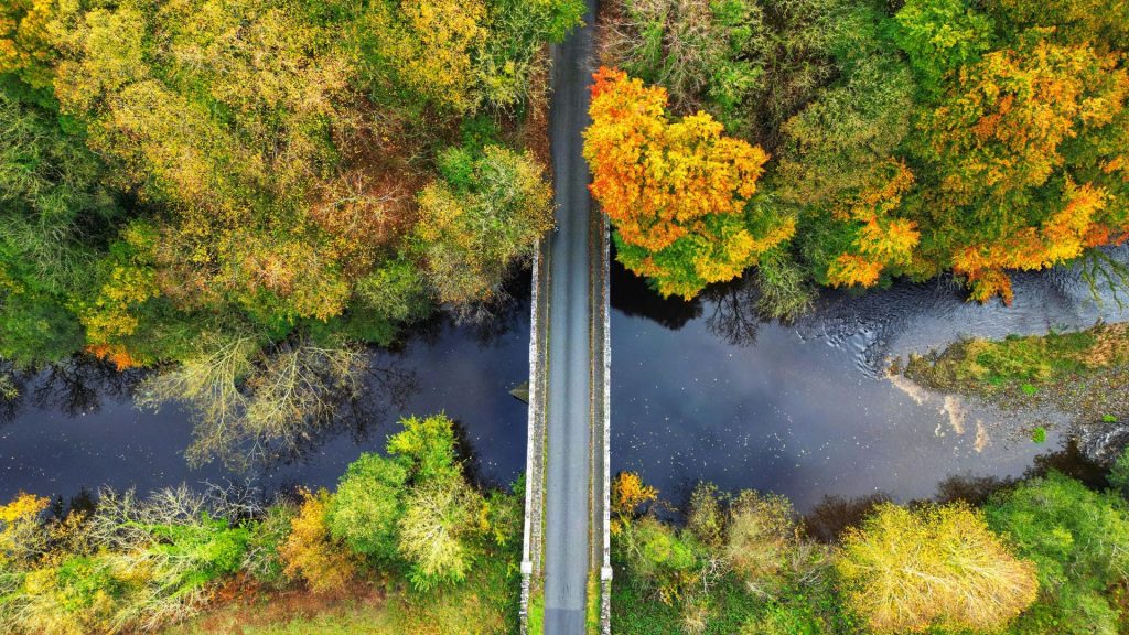 image of a road surrounded by trees and a river